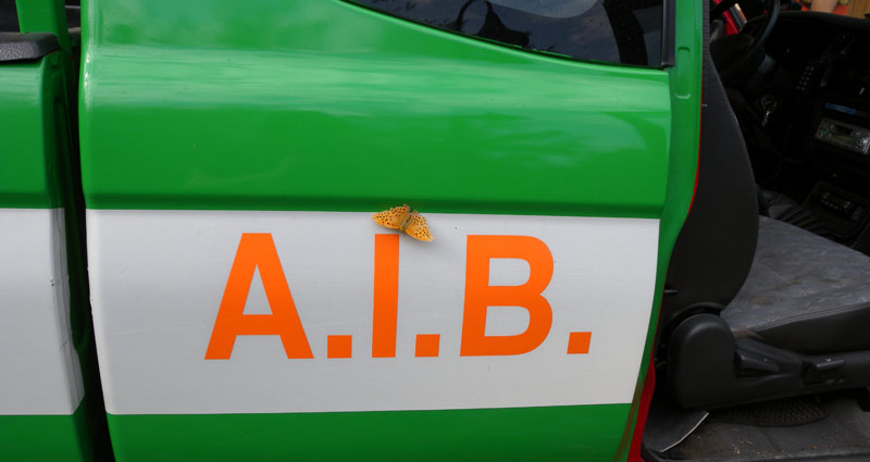 ASSOCIAZIONE VOLONTARI PROTEZIONE CIVILE - A.I.B. Squadra di Masserano